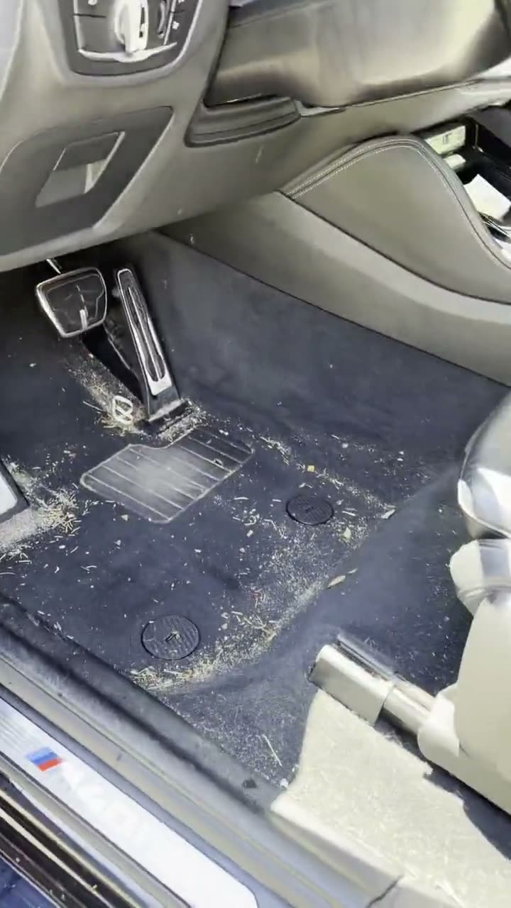 Car detailing — interior before cleaning