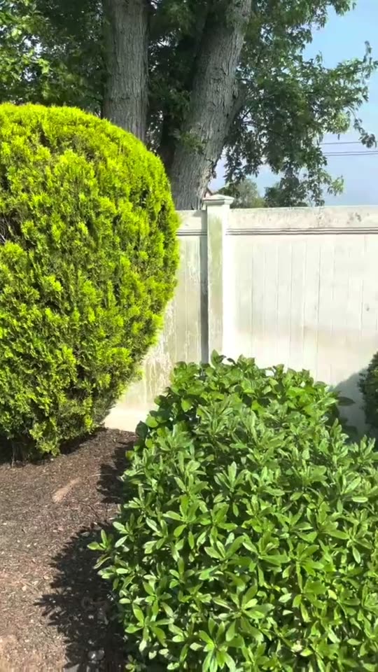 Before and after power washing — example 1
